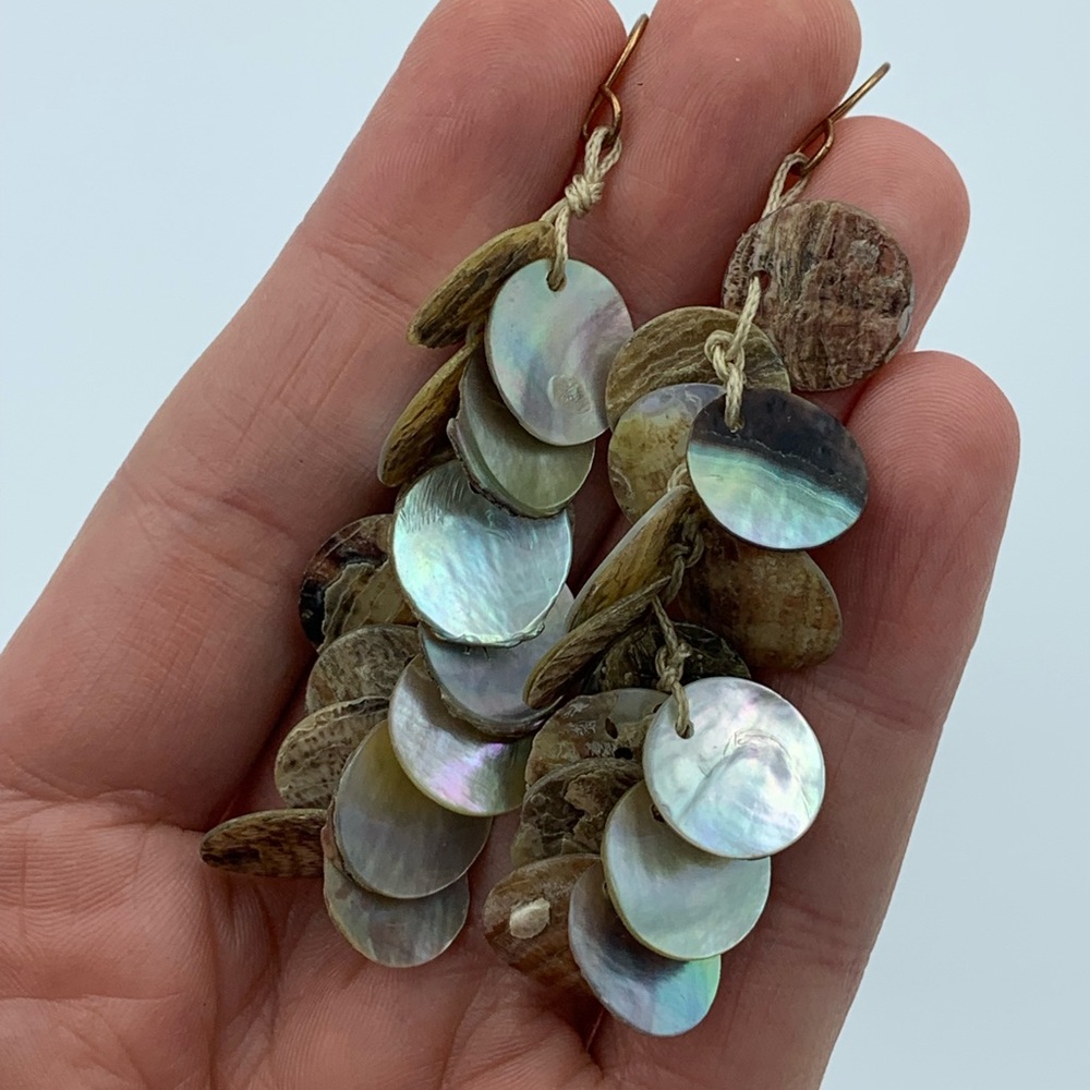 Abalone Shell Earrings - image 1